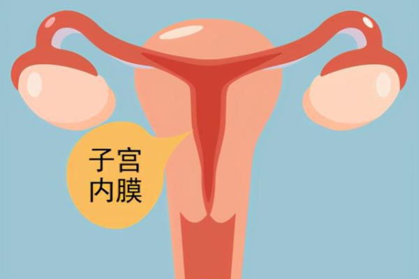 武汉代生和试管婴儿 2023武汉三代试管婴儿医院排