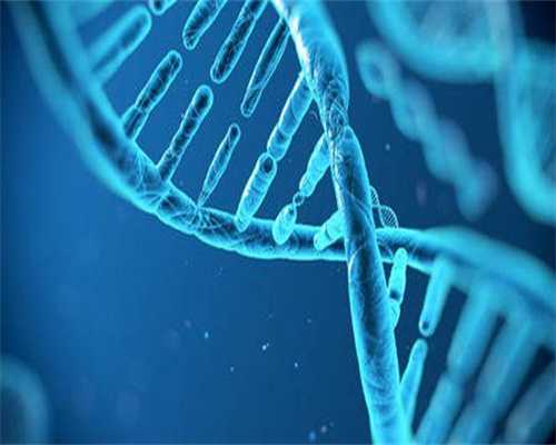 浙江借卵自怀价格,女同性恋做试管婴儿流程公开_3cc囊胚成功率-试管移植后能吃