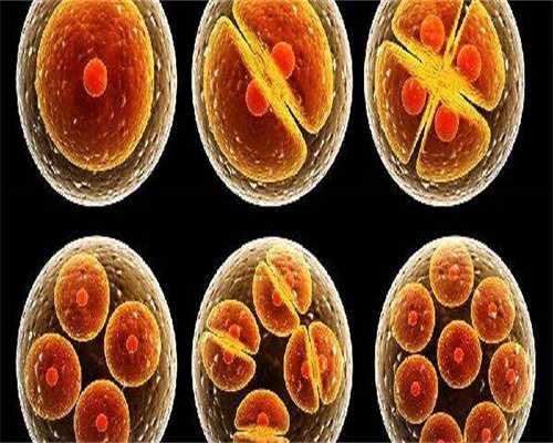 浙江专业的代怀,试管婴儿谁都可以做吗？_试管婴儿七周-医院挂号没去第二天可