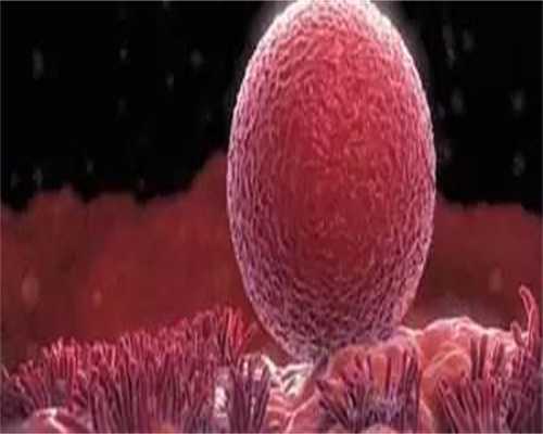 浙江最大的代孕公司,马来西亚做试管婴儿的时候能够做性别筛选么？-上海供卵