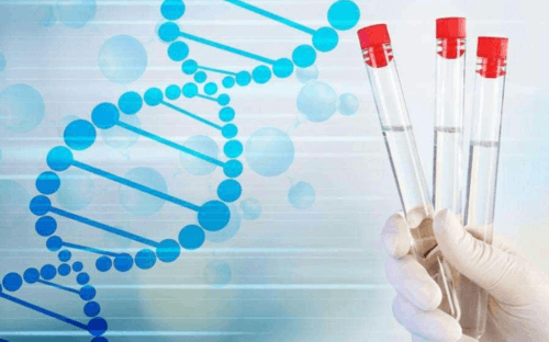 浙江双独二胎准生证办理流程?,虽然，浙江2026年的准确人口出