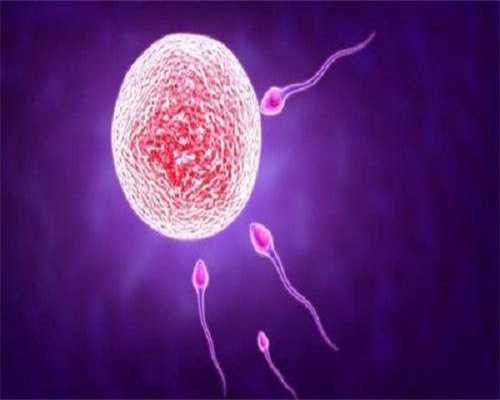 浙江代怀宝妈网站,北京做试管婴儿得多少钱（要花费61675元）-浙江医科大学附