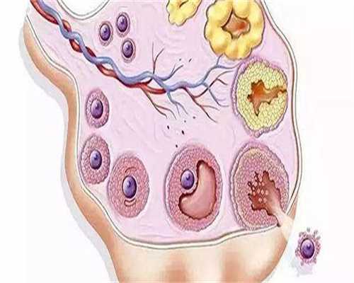 浙江代生孩子官网,男37岁染色体7号19号平衡易位，女35岁做三代试管婴儿可以吗