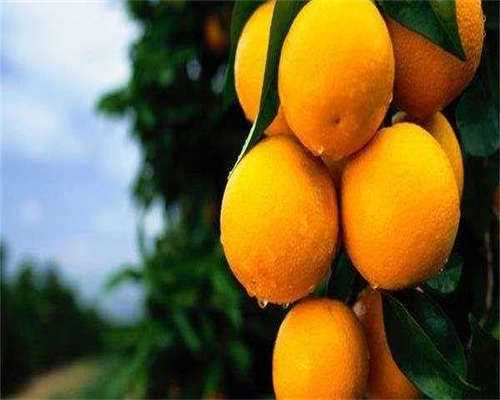 能做借卵试管-怎样增加妈妈怀孕的几率？