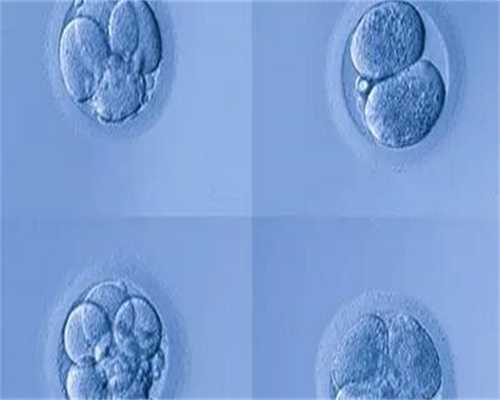 胚胎17三体嵌合综合征详解：做3代试管治疗后备孕有底气