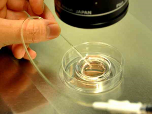 浙江唐筛检查要多少钱,在浙江做第三代试管婴儿需要多少钱