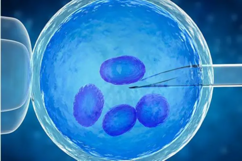 浙江靠谱代怀医院,试管婴儿选择男女性别可以吗？有没有什么风险？-浙江省辅