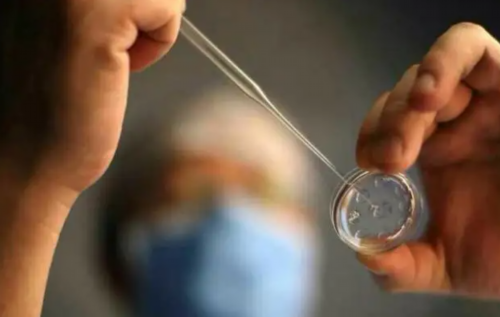 浙江代生哪里安全,2026珠海三代试管生儿子价格一览表，清单及成功率参考_深圳