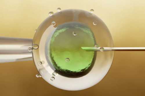 浙江代孕哪最权威,试管婴儿前三个月 试管婴儿移植后几天着床_右侧卵巢囊肿容