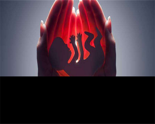 备孕能不能吃红极参