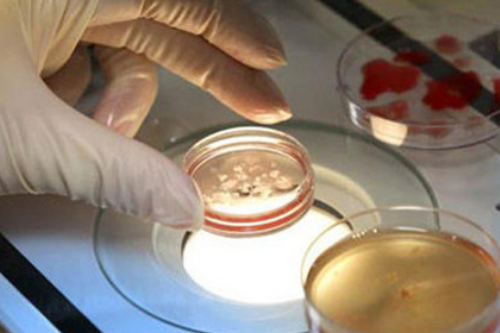 借卵保证成功-试管婴儿移植囊胚第7天就出现孕吐现象正常吗？