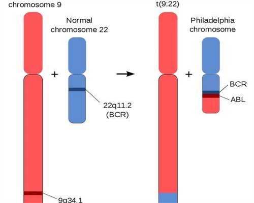 湛江地区试管婴儿费用及麻章试管婴儿医院推荐