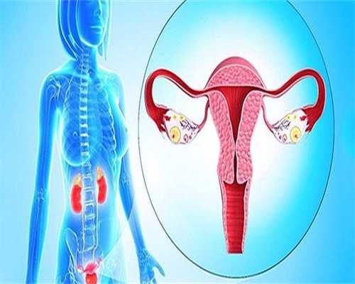 浙江代生靠谱吗,上海集爱试管之移植经历记录_试管供卵多钱_老公精子碎片高