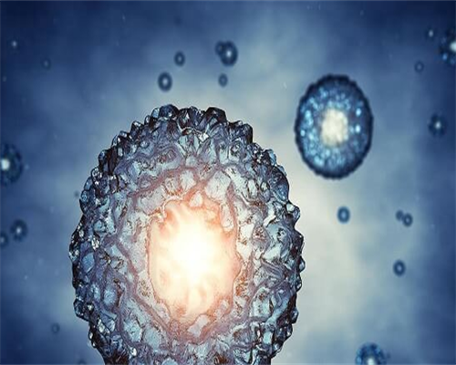 浙江代生公司官网,如何查中介去香港查性别的真假_测男女结果有可能翻盘吗