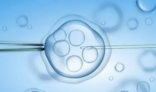 包成功代怀网-南阳试管婴儿医院哪家好？重点推荐这5家专业试管医院