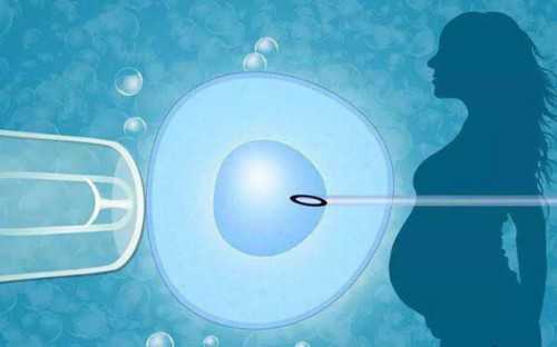 试管移植前怎么调理身体