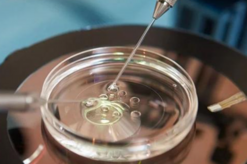 浙江试管代怀专家,试管移植成功后可以不用保胎药吗？肯定的答案告诉你：不