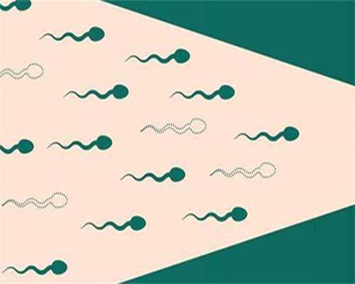 浙江办理出生登记流程和地址,浙江怀孕社区建卡的全部流程