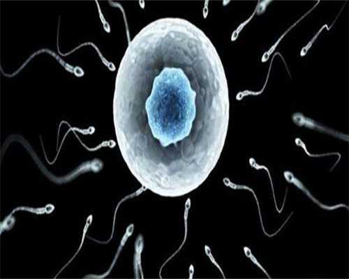 浙江金航标公司正规吗,浙江最大的助孕公司优贝贝怎么找