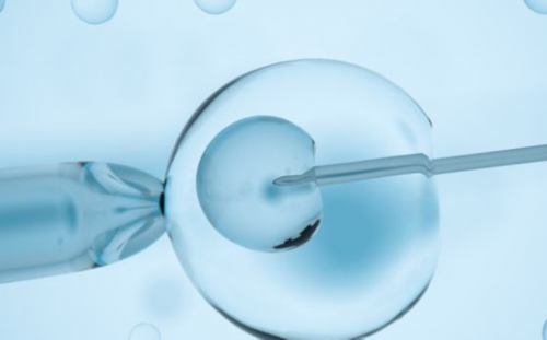 amh02能做*试管吗抓紧时间才能扭转局面