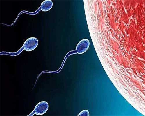 浙江残角子宫做试管婴儿成功率前10医院,浙江供卵试管机构