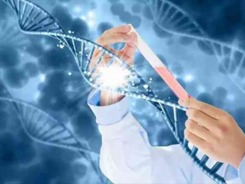 抗核抗体阳性能不能成功保胎