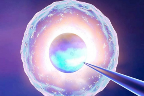 浙江试管代怀排行,美国试管婴儿囊胚着床的过程是怎样的？_上海私立医院供卵