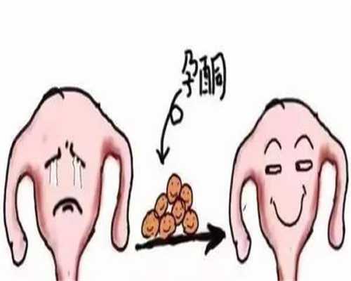 浙江代孕公司成功率,上海做试管助孕的医院排名第一名是哪家好一点？-西安供