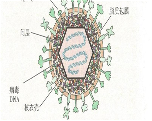 专业试管供卵-台州市中心医院试管婴儿费用公布,台州医院做试管好吗！