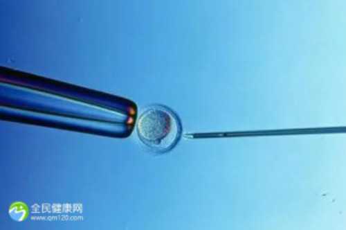 浙江正规的代生,北京三代试管哪家医院成功率高北京三医院做三代试管多少钱