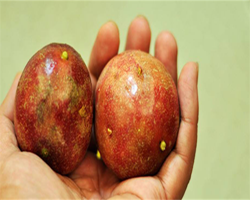 浙江最可靠代怀孕,试管婴儿怎么样？试管婴儿最全详细流程-节假日 浙江大学附