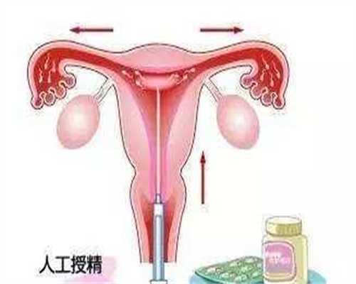 浙江私人试管医院,浙江人工授价格表，附流程表！