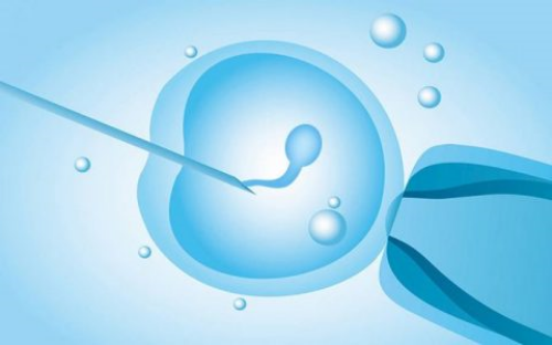 浙江代怀可选男女,浙江三代试管婴儿医院排行，2026
试管医院推荐-习惯性流产