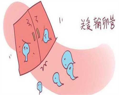 双胎的hcg和单胎hcg值,双胞胎