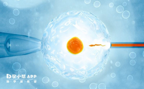 浙江代孕公司哪里有,试管婴儿怀孕后，春节期间如何保胎？大鱼大肉要不得！