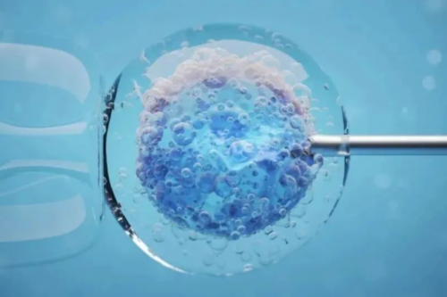 浙江中心代怀产子,试管婴儿可以做双胞胎吗？母亲熊猫阴性B型血和父亲阳性