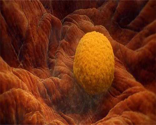 浙江找代孕公司是关键,取卵数量越多美国试管婴儿成功率越高吗？_上海哪里有