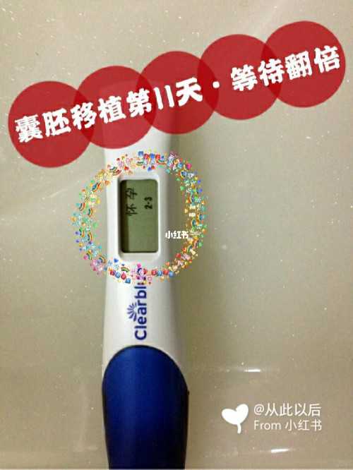 浙江试管借卵公司,潍坊市人民医院做试管婴怎么样？成功率高吗？-浙江哪个医