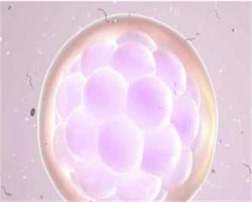 备孕可以吃蔓越莓胶囊吗