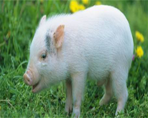 浙江正规代孕公司价钱,北京试管婴儿医院初次就诊须知_南京私立医院供卵费用